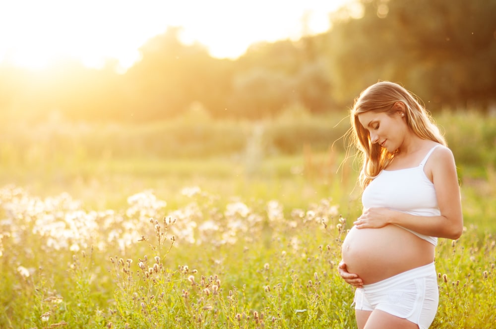 Gestational Surrogacy in Florida