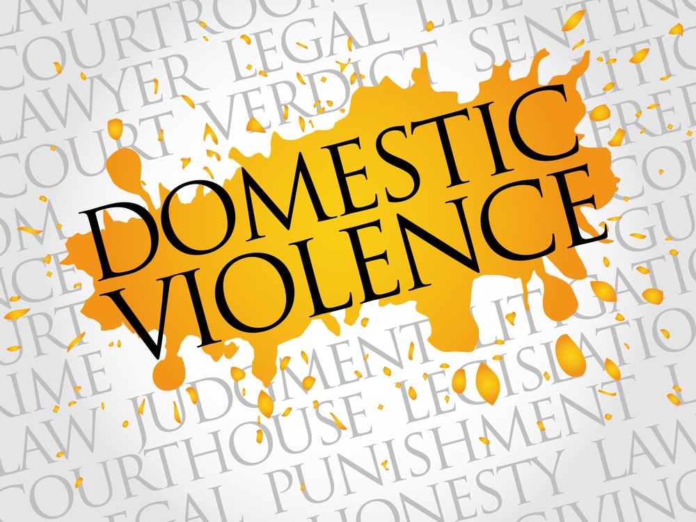 Domestic Violence Accusation in Florida